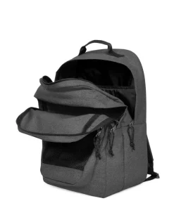 Best Study Buddy Backpack 16″ polyester Laptop Backpacks|Daypacks